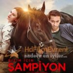 bold pilot 2018 sampiyon