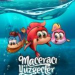 maceraci yuzgecler