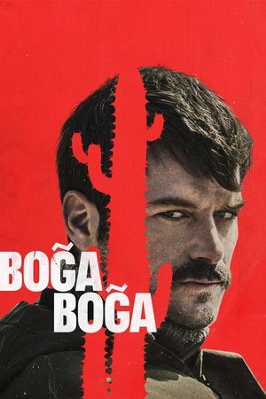 Boğa Boğa 2023