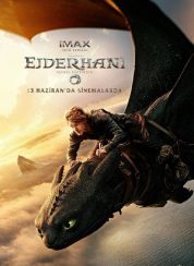 Ejderhanı Nasıl Eğitirsin